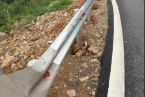 Hộ Lan Tôn Sóng Nhật Tài